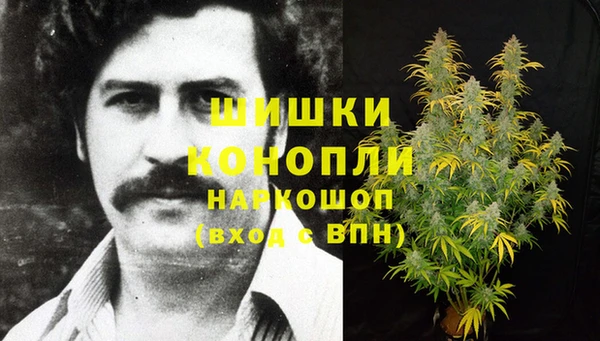 ПСИЛОЦИБИНОВЫЕ ГРИБЫ Беломорск