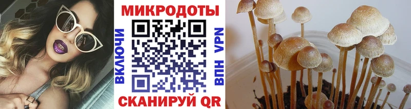 где купить наркоту  MEGA ТОР  Псилоцибиновые грибы Psilocybine cubensis  Надым 