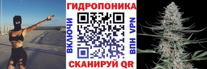 купить наркотик  Надым  blacksprut   МАРИХУАНА MAZAR 